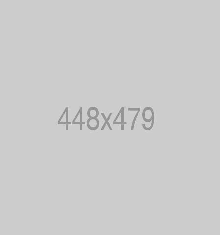 divi-food-store-6
